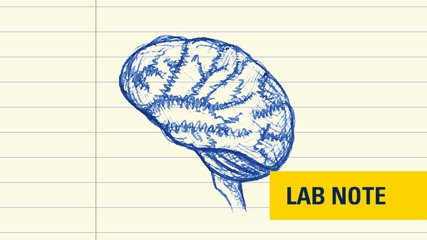 blue sketch of a brain on a yellow sheet of paper