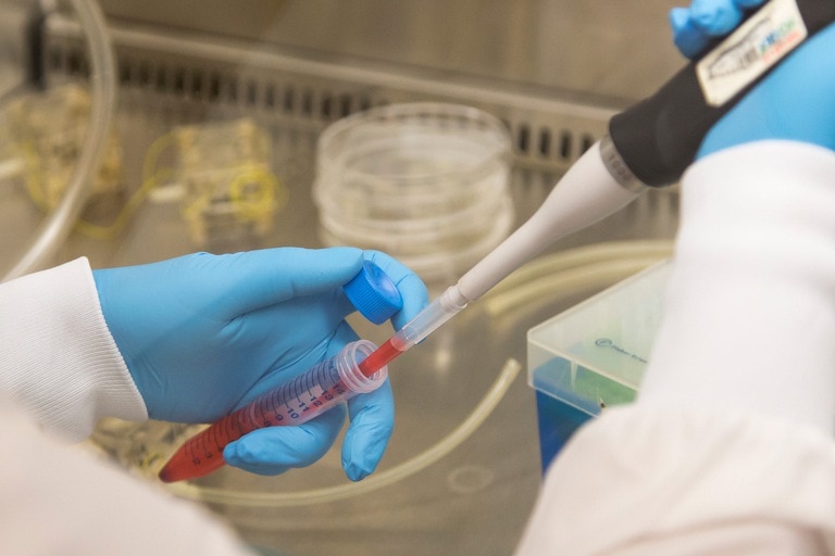 a researcher squeezing a red liquid through a tube