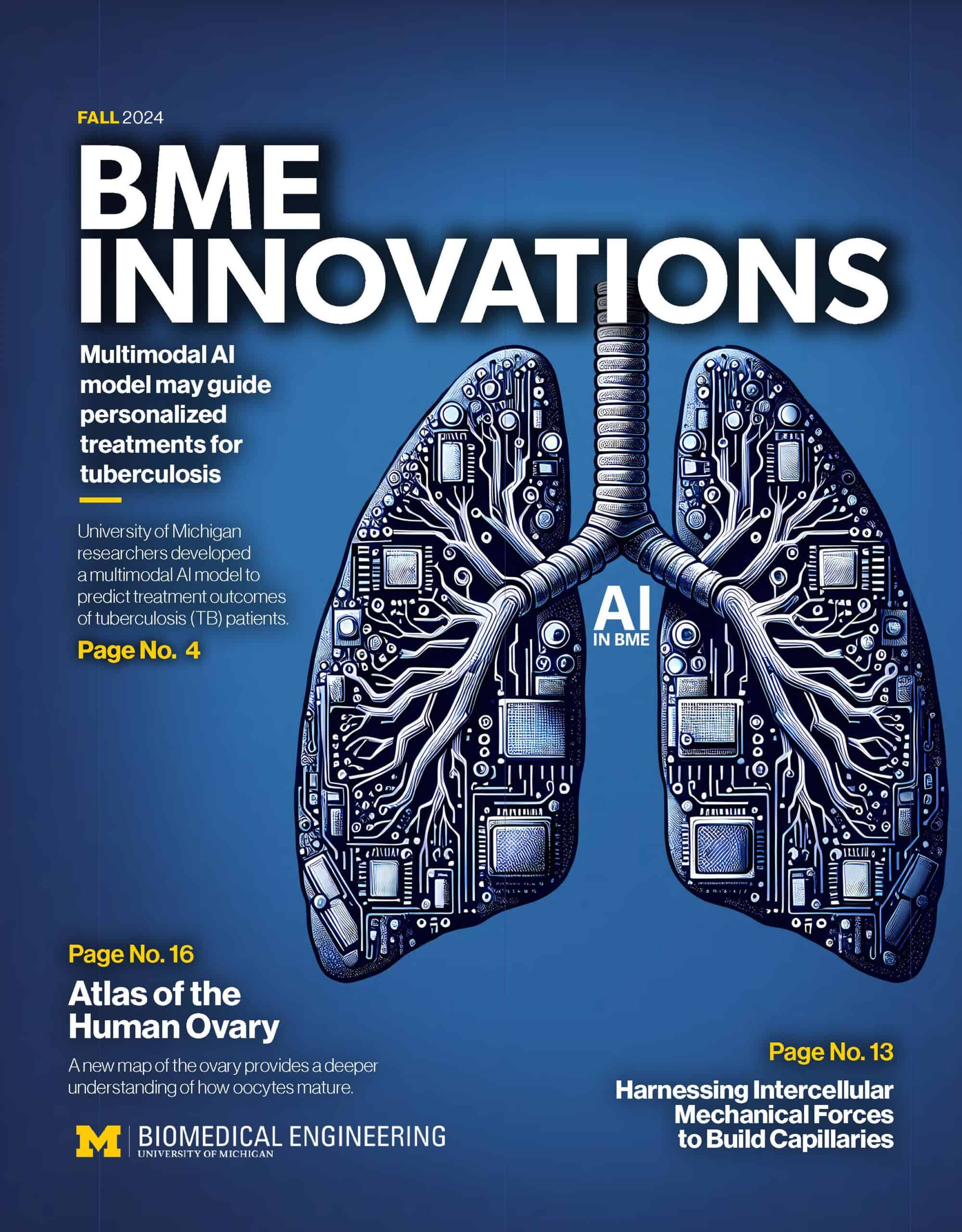 BME Innovations is the annual magazine from the U-M BME Department. The 2024 issue features multimodal AI, the Atlas of the Human Ovary and Harnessing Intercellular Mechanical Forces to Build Capillaries