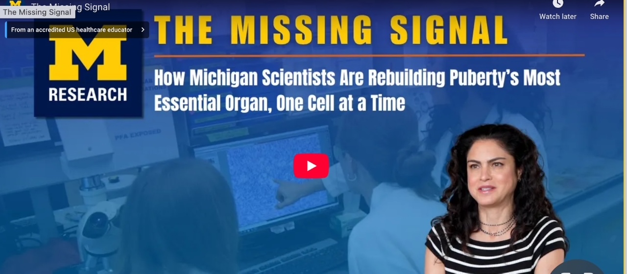 Michigan Research Highlights First-of-Its-Kind Artificial Ovary